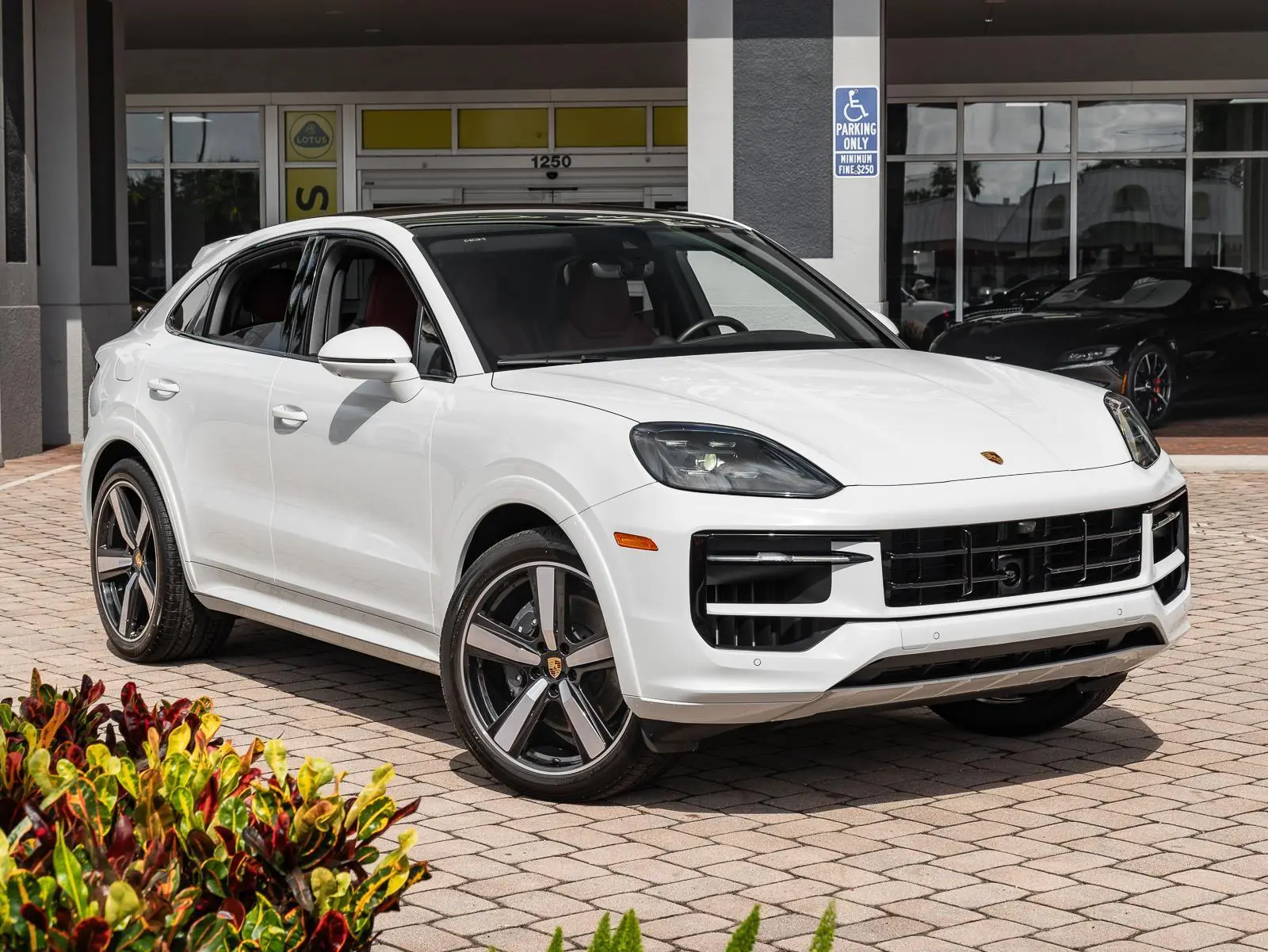 2024 Porsche Cayenne Base photo 4