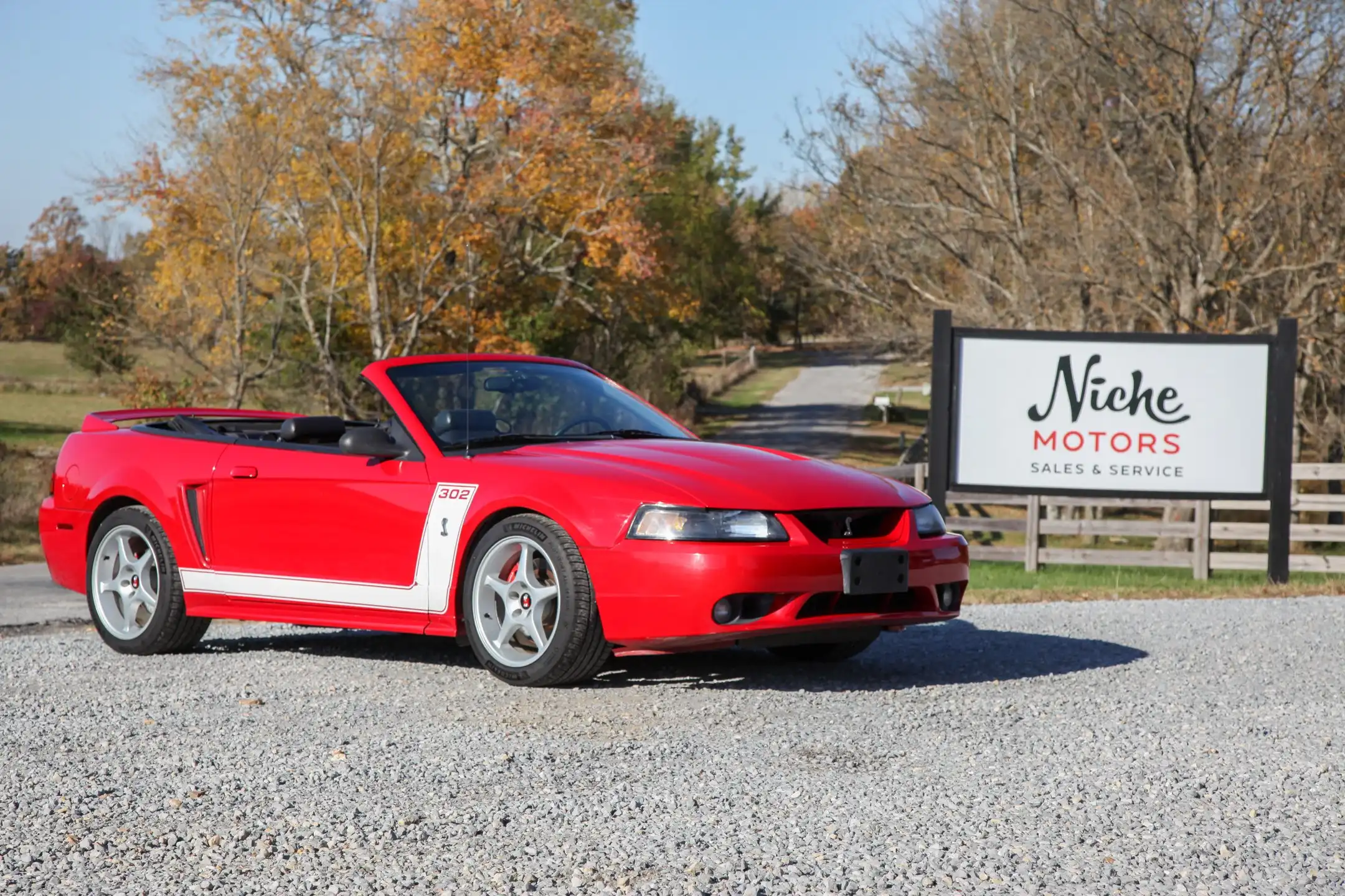1999 Ford Mustang COBRA SVT's photo