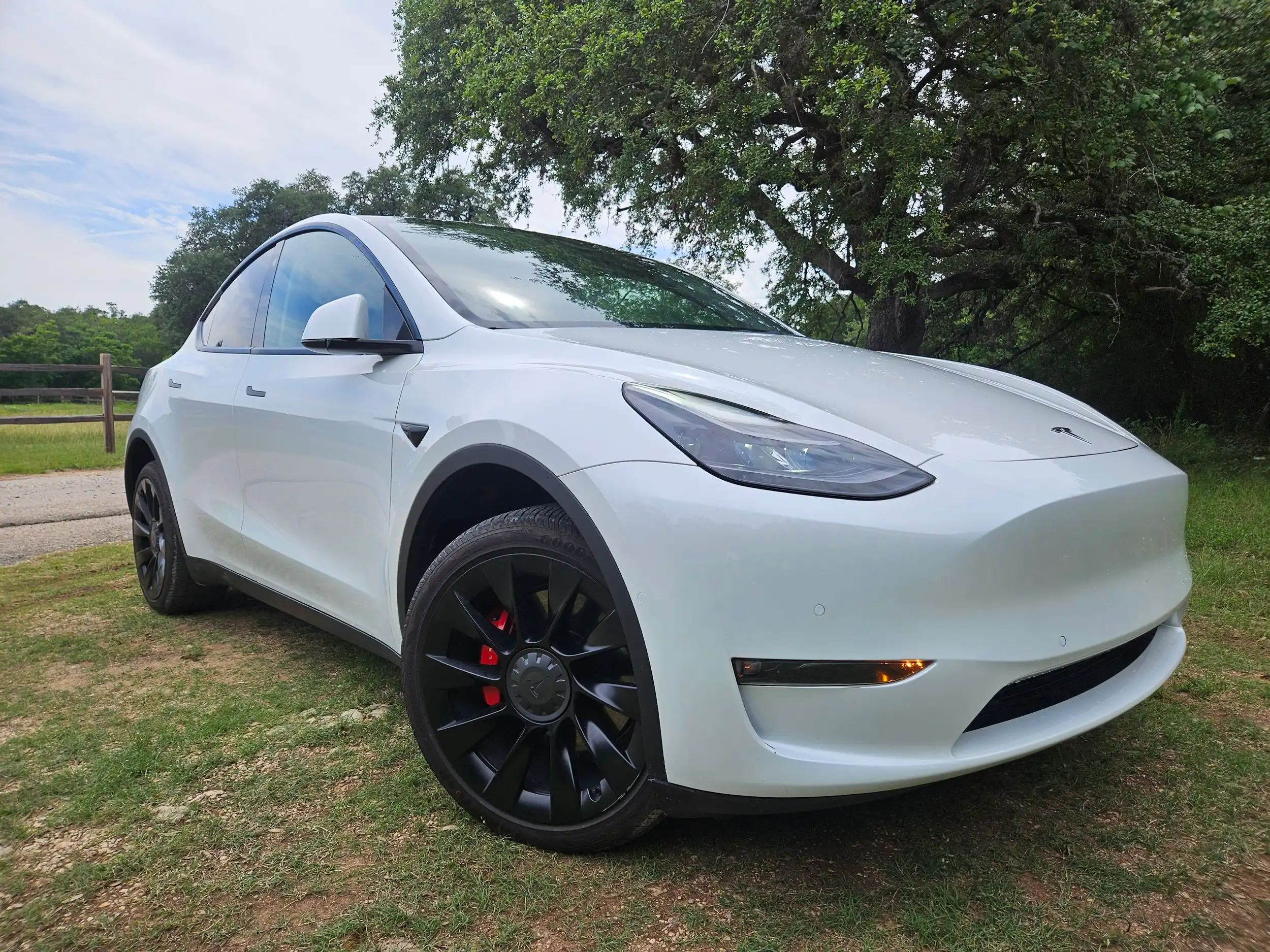 2022 Tesla Model Y Performance Dual Motor All-Wheel Drive's photo