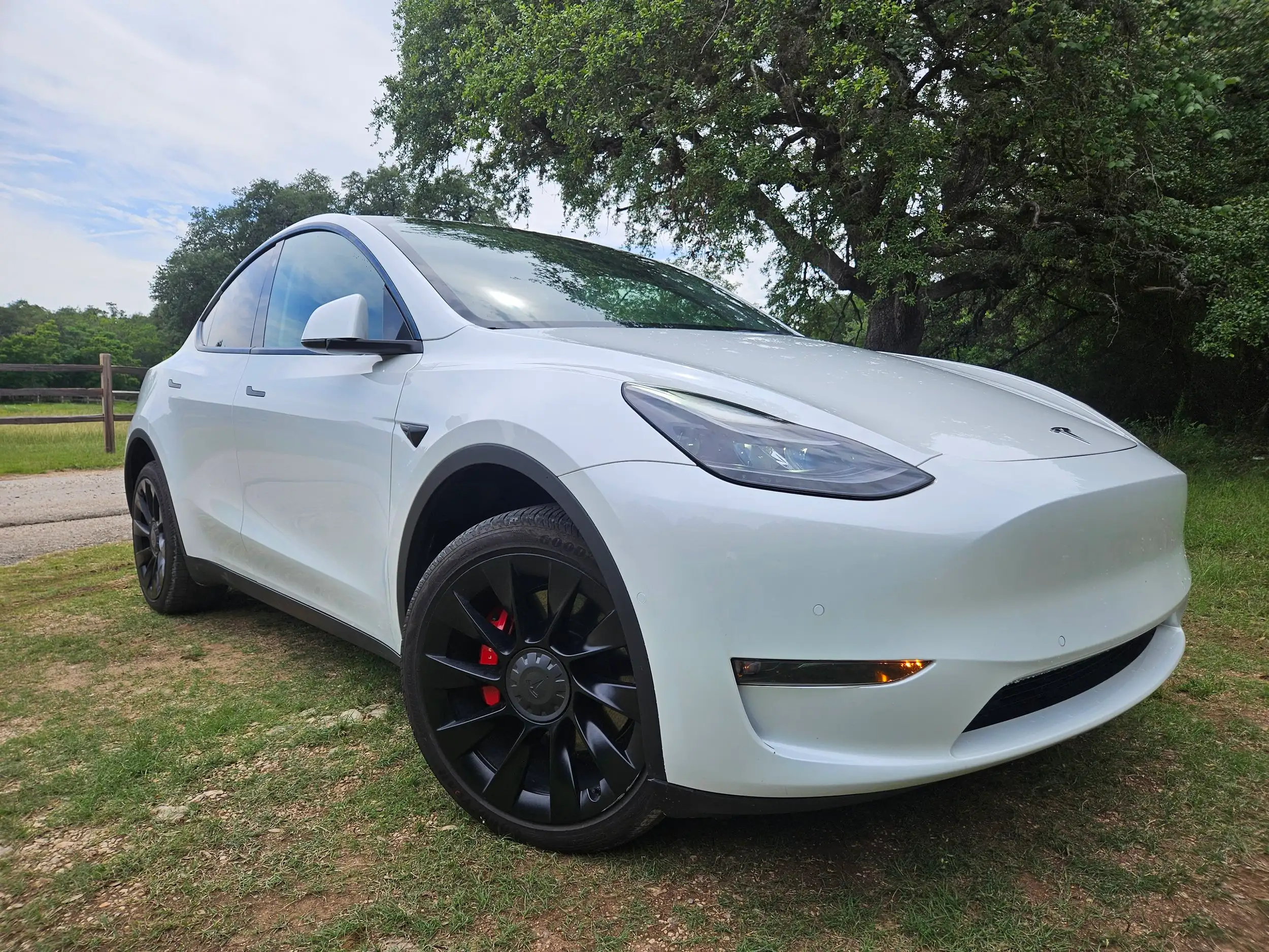 2022 Tesla Model Y Performance Dual Motor All-Wheel Drive's photo