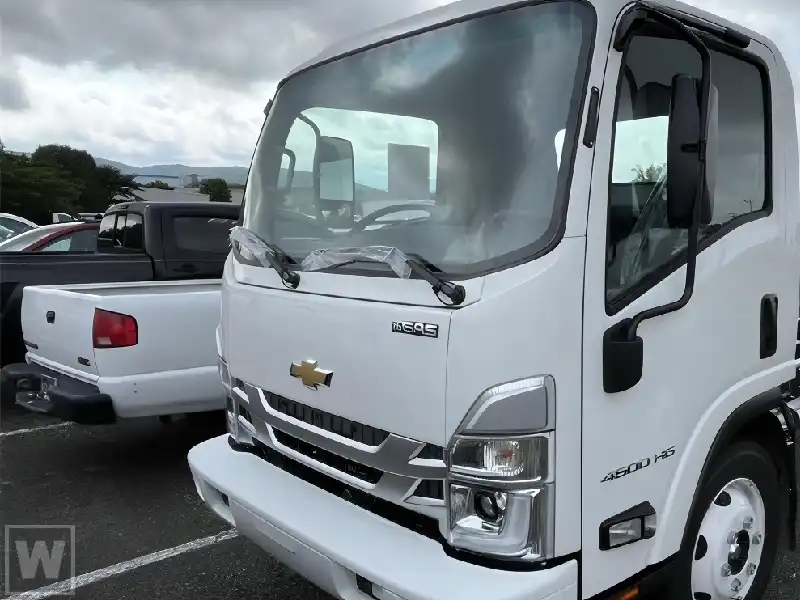 2025 Chevrolet Low Cab Forward 4500 Gas 176" WB Regular Cab's photo