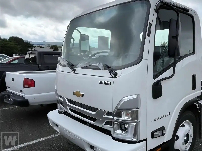 2025 Chevrolet Low Cab Forward 4500 Gas 176" WB Regular Cab's photo