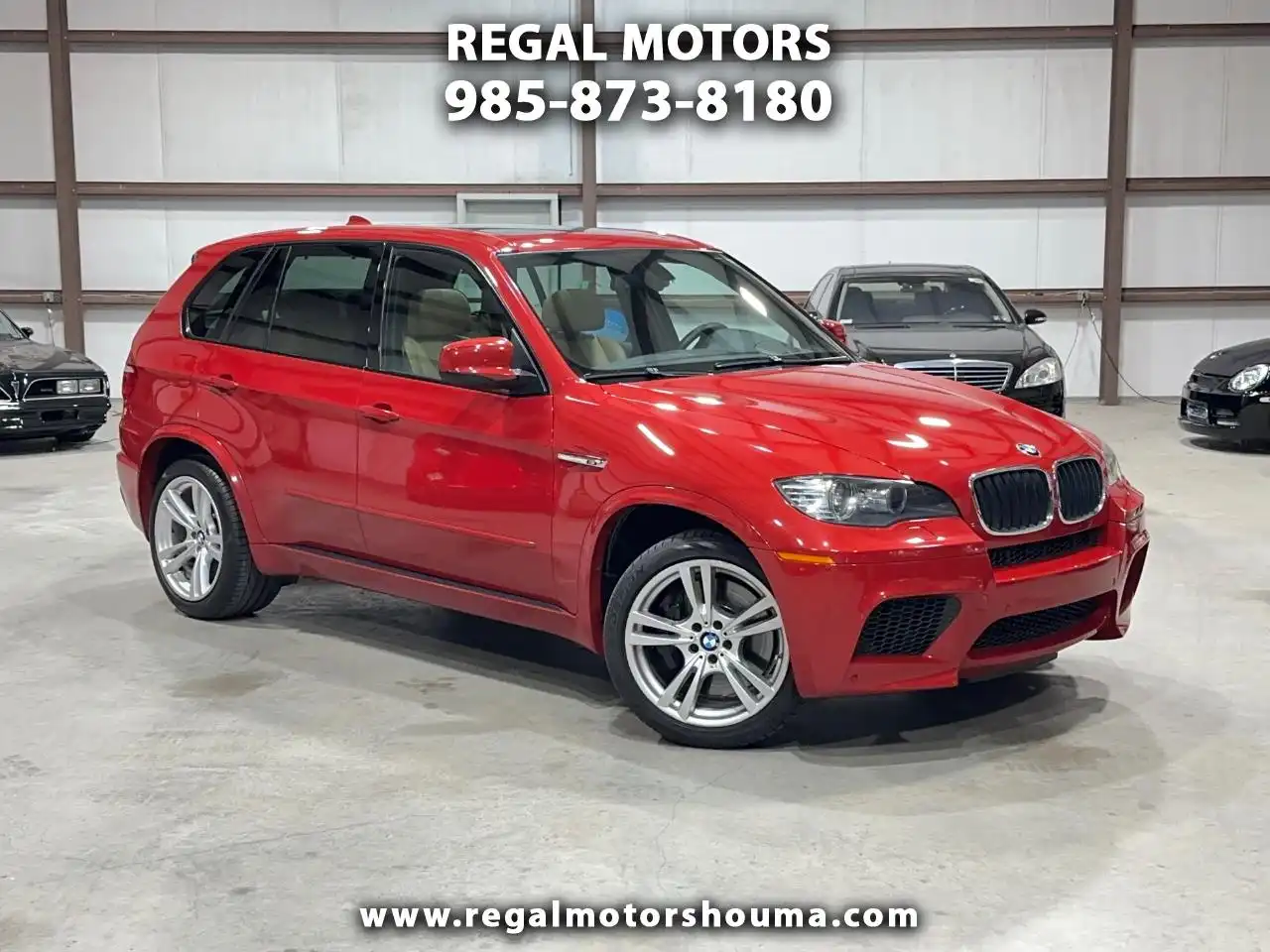 2010 BMW X5 M's photo