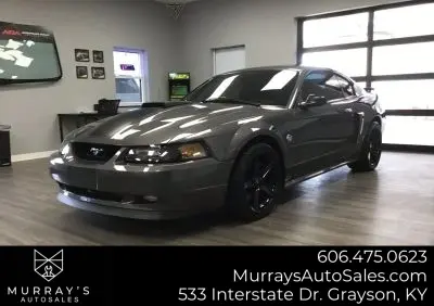 2004 Ford Mustang 4.6 Mach 1 photo 3