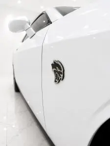 2016 Dodge Challenger SRT Hellcat photo 5