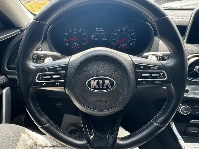 2019 Kia Stinger Stinger's photo