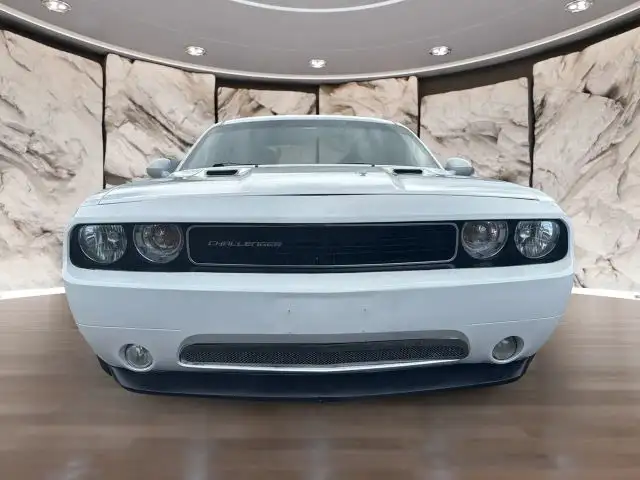2014 Dodge Challenger R/T's photo