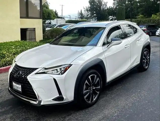 2021 Lexus UX 300h 250h AWD's photo