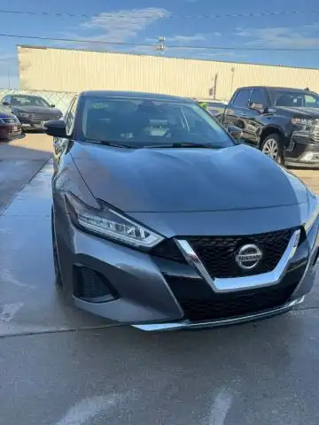 2020 Nissan Maxima SV's photo