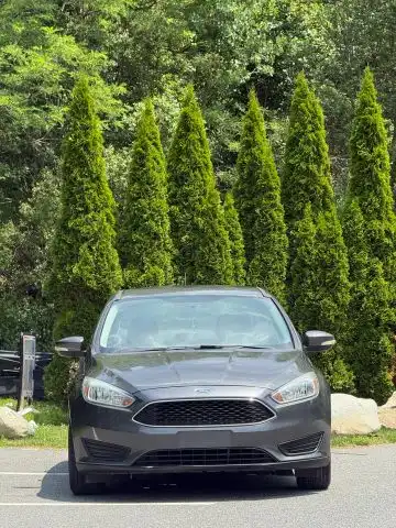 2015 Ford Focus SE Sedan's photo