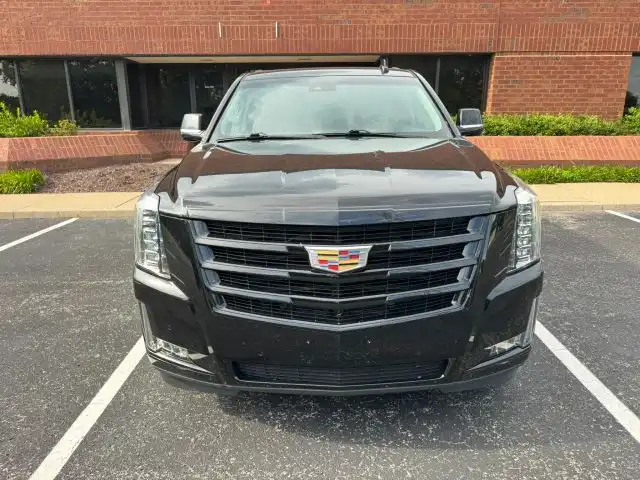 2020 Cadillac Escalade 2WD Luxury's photo