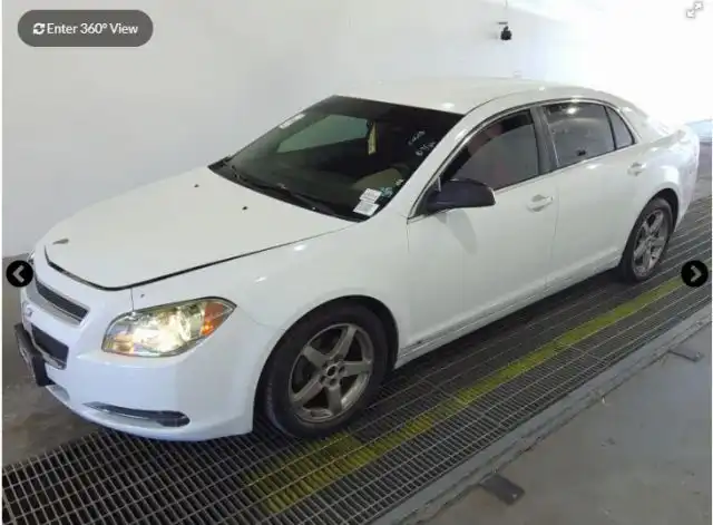 2009 Chevrolet Malibu 1FL (Fleet)'s photo