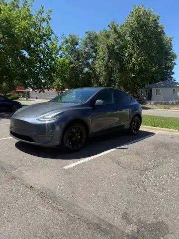2020 Tesla Model Y Long Range Dual Motor All-Wheel Drive's photo