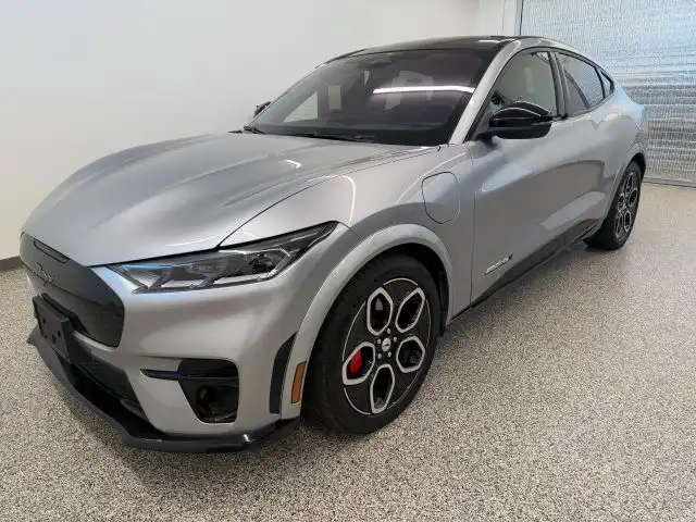 2021 Ford Mustang-Mach-e GT's photo
