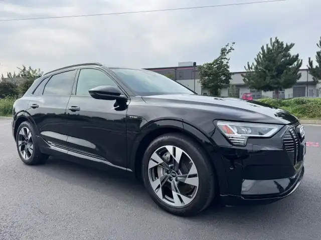 2022 Audi e-tron 95 kWh Premium quattro's photo