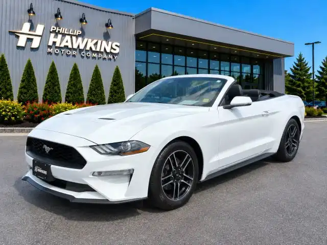 2018 Ford Mustang EcoBoost Premium Convertible's photo