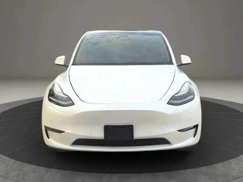 2020 Tesla Model Y Long Range Dual Motor AWD photo 1