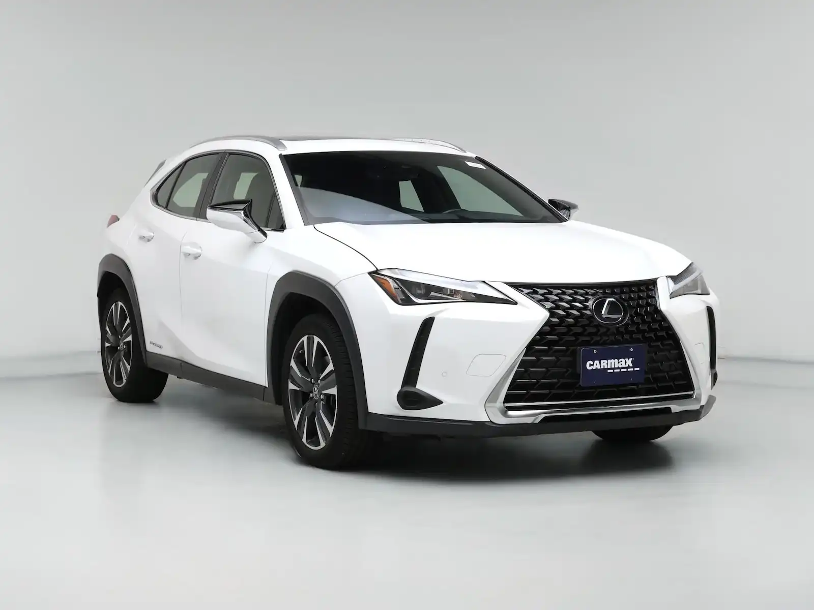 2020 Lexus UX 300h 250h AWD's photo