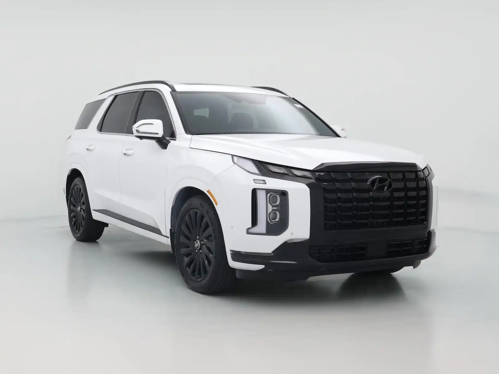 2025 Hyundai Palisade Calligraphy AWD Night Edition's photo