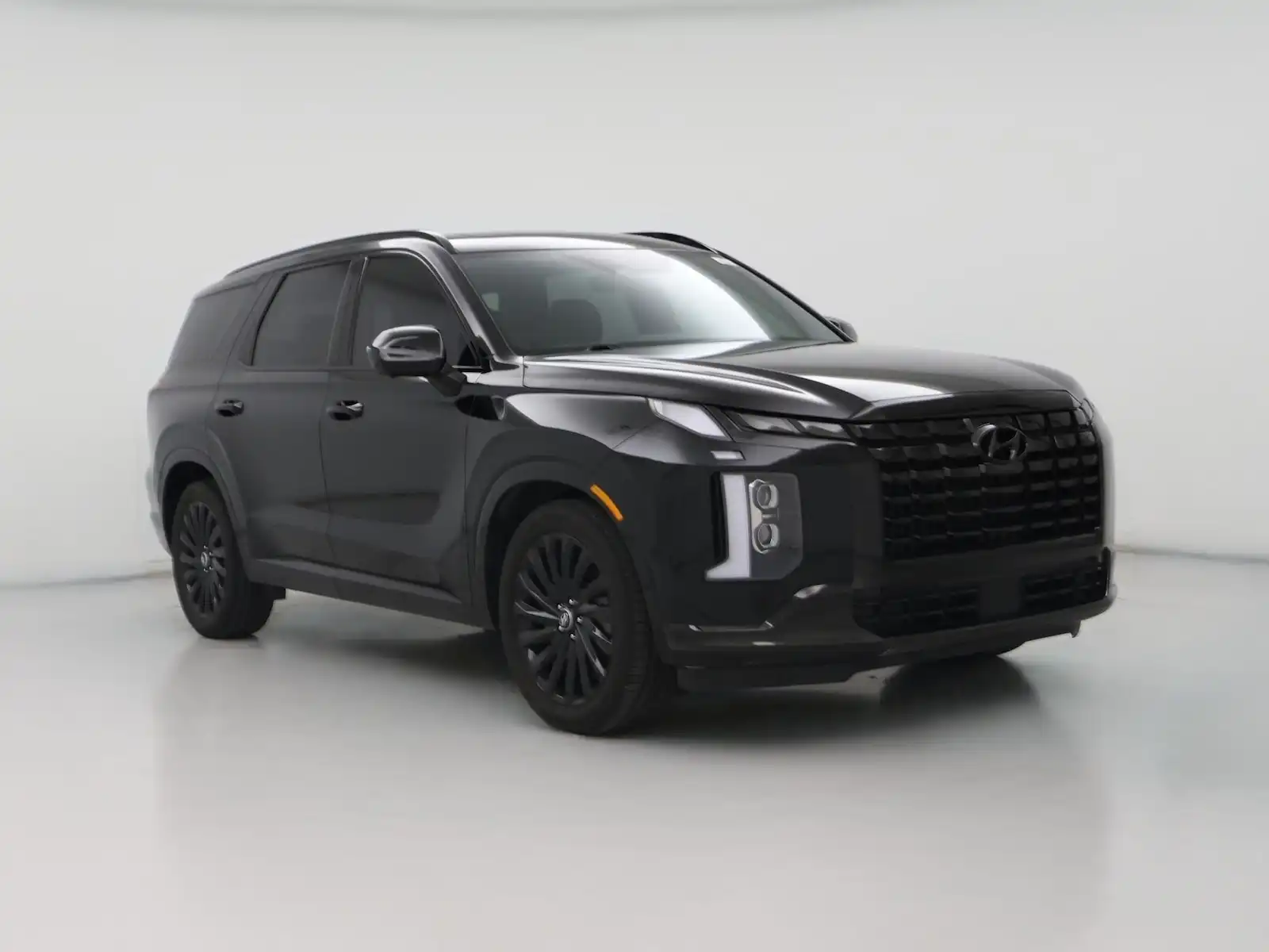 2025 Hyundai Palisade Calligraphy AWD Night Edition's photo
