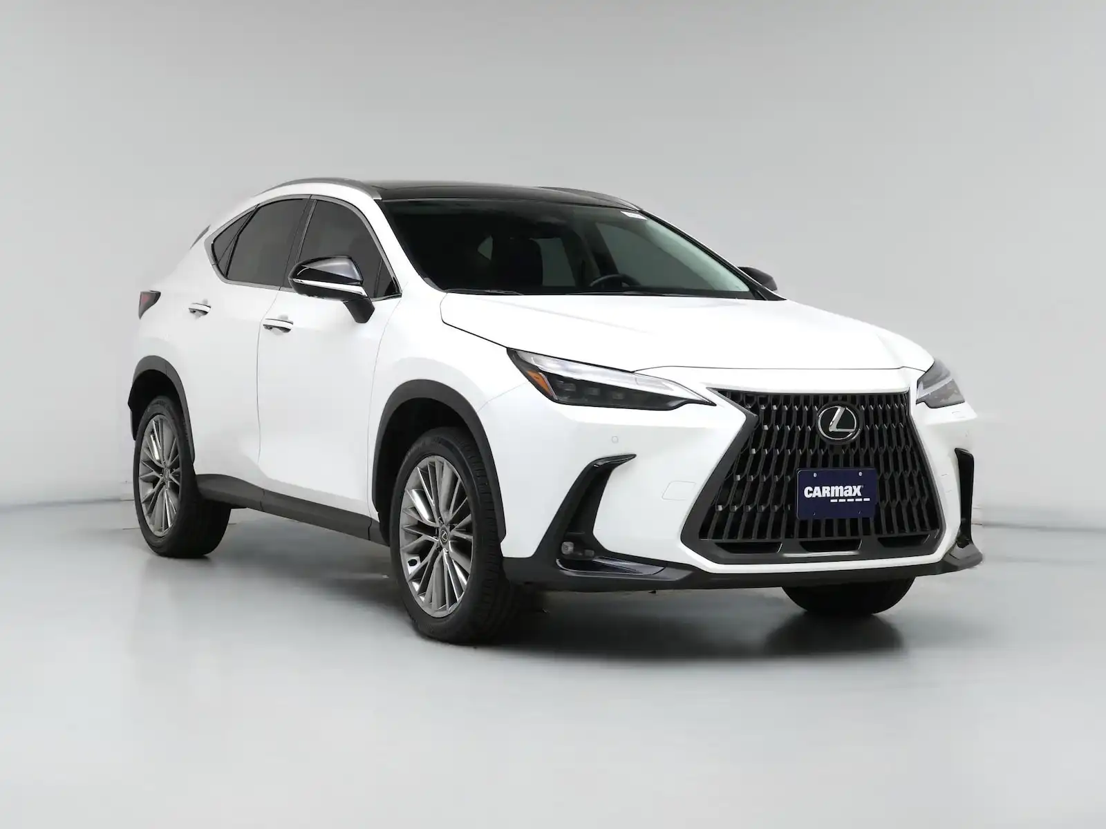 2024 Lexus NX 350 350 Luxury AWD's photo