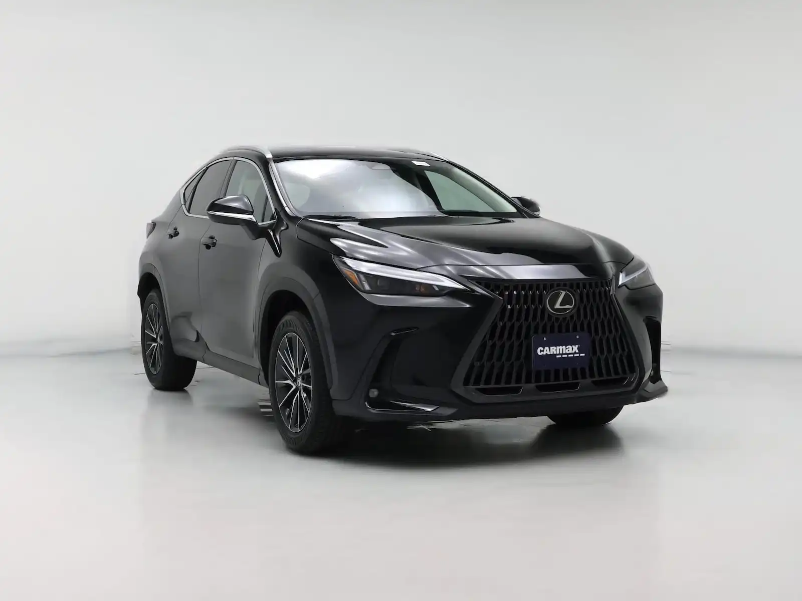 2024 Lexus NX 350 350 AWD's photo