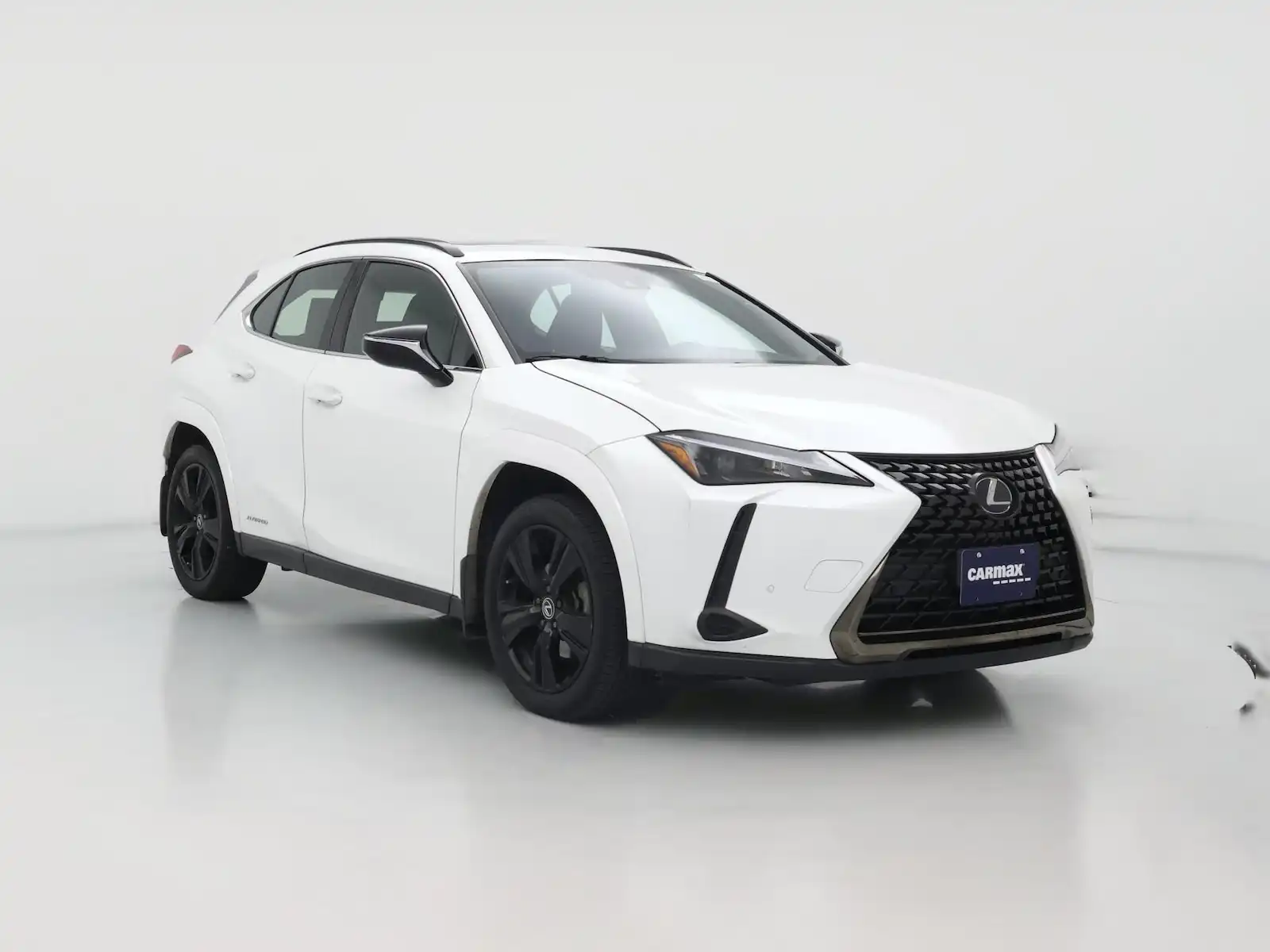 2021 Lexus UX 300h 250h AWD's photo