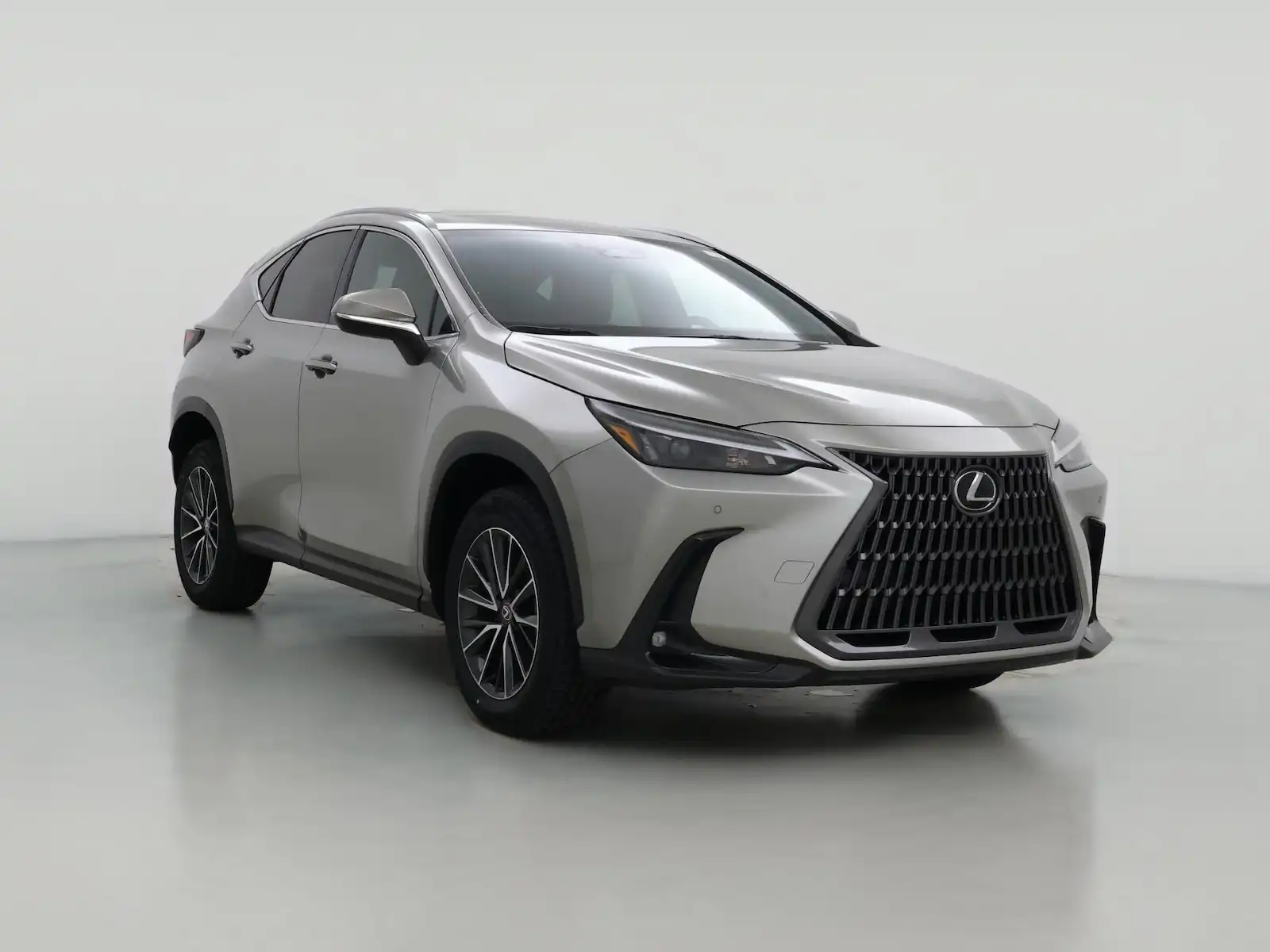 2025 Lexus NX 350h 350h AWD's photo