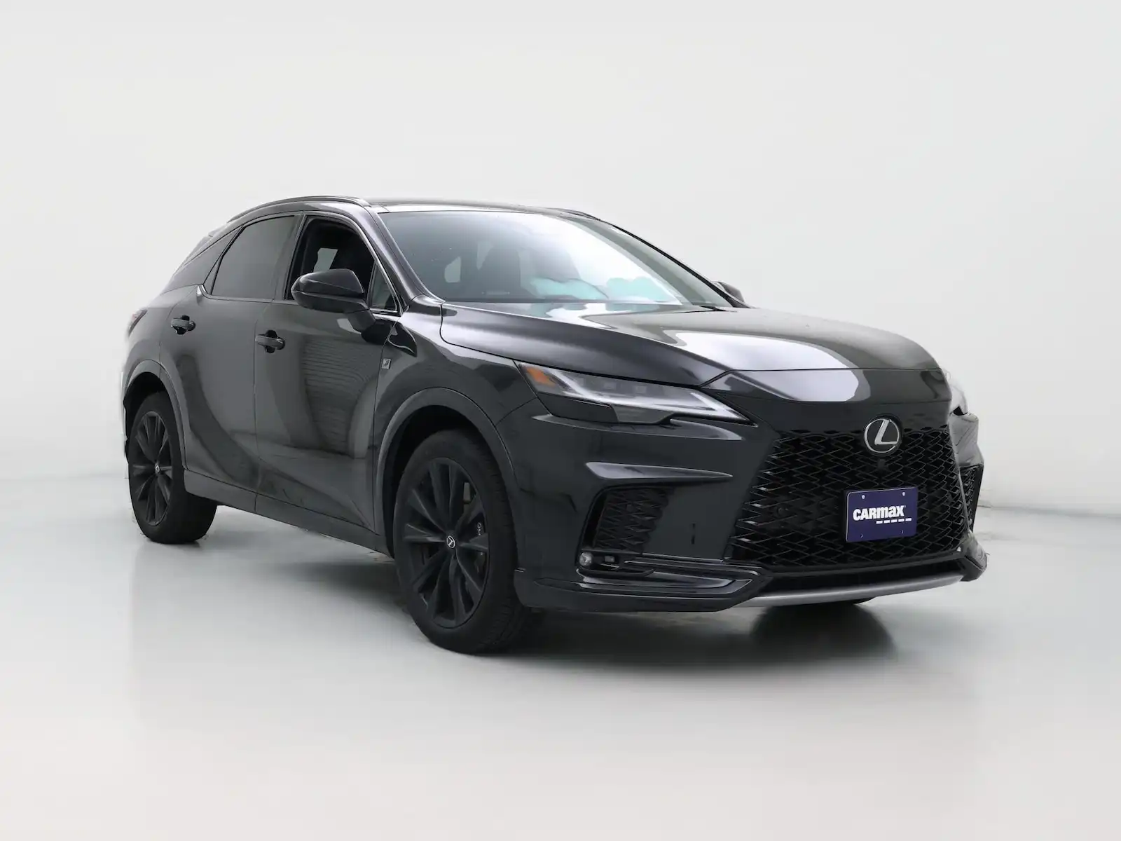 2023 Lexus RX 350h 500h F Sport AWD's photo