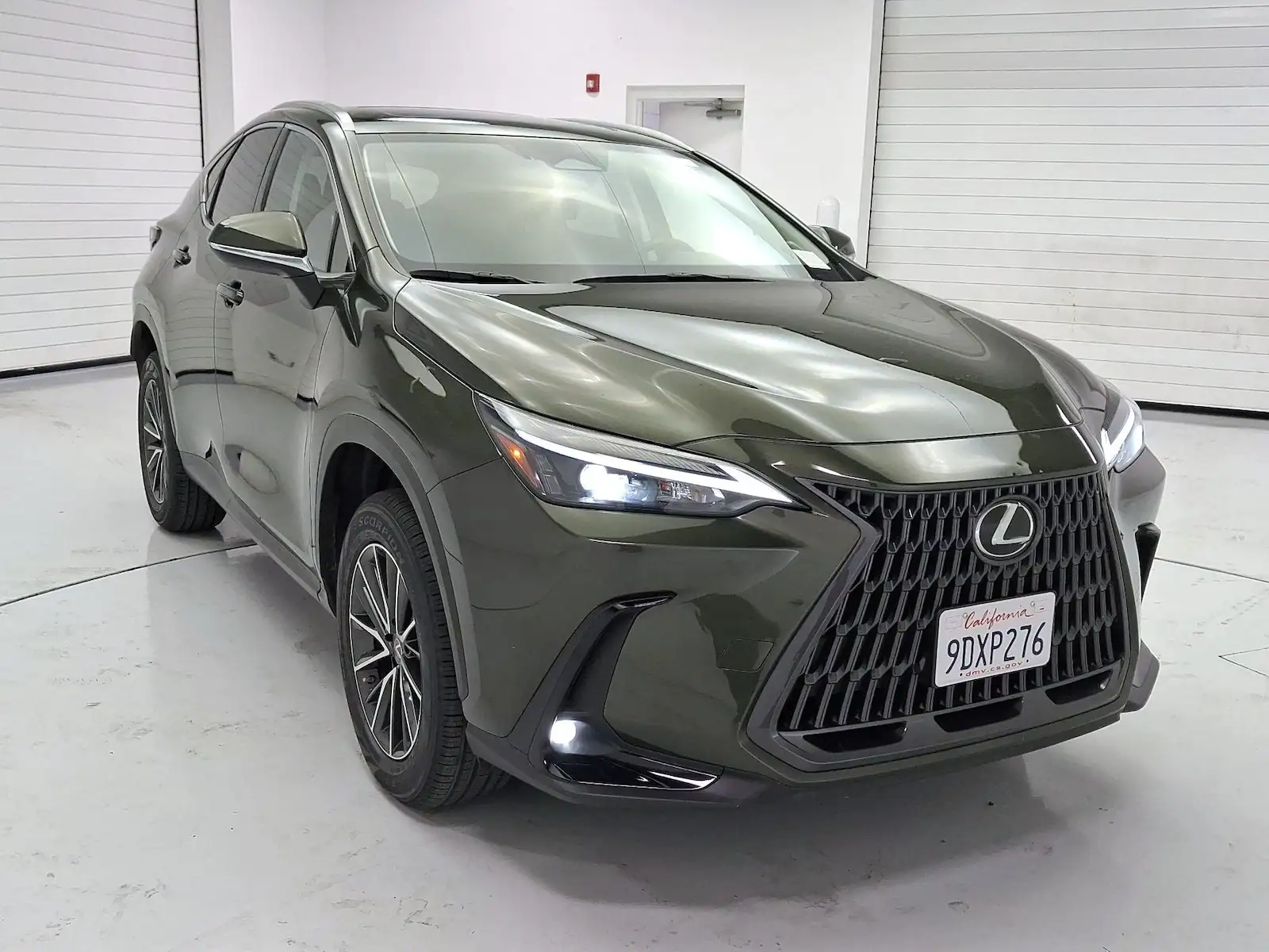 2023 Lexus NX 350h 350h AWD's photo