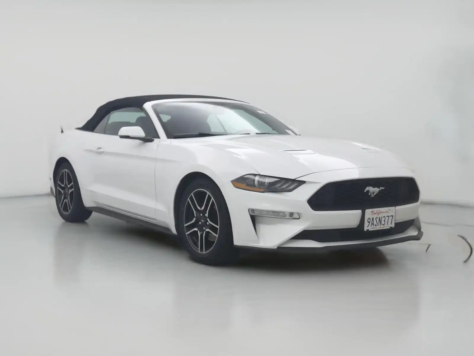 2019 Ford Mustang EcoBoost Premium Convertible's photo