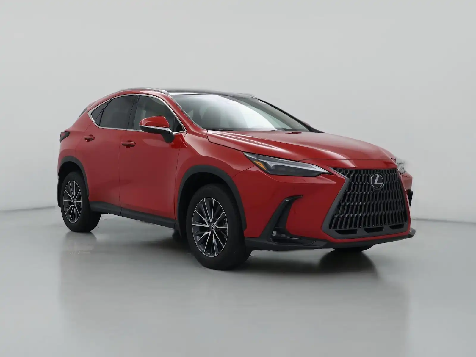 2024 Lexus NX 350h 350h Luxury AWD's photo
