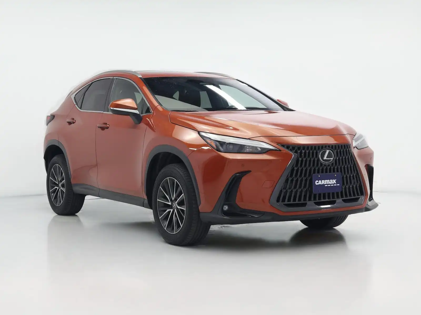 2023 Lexus NX 350h 350h Premium AWD's photo