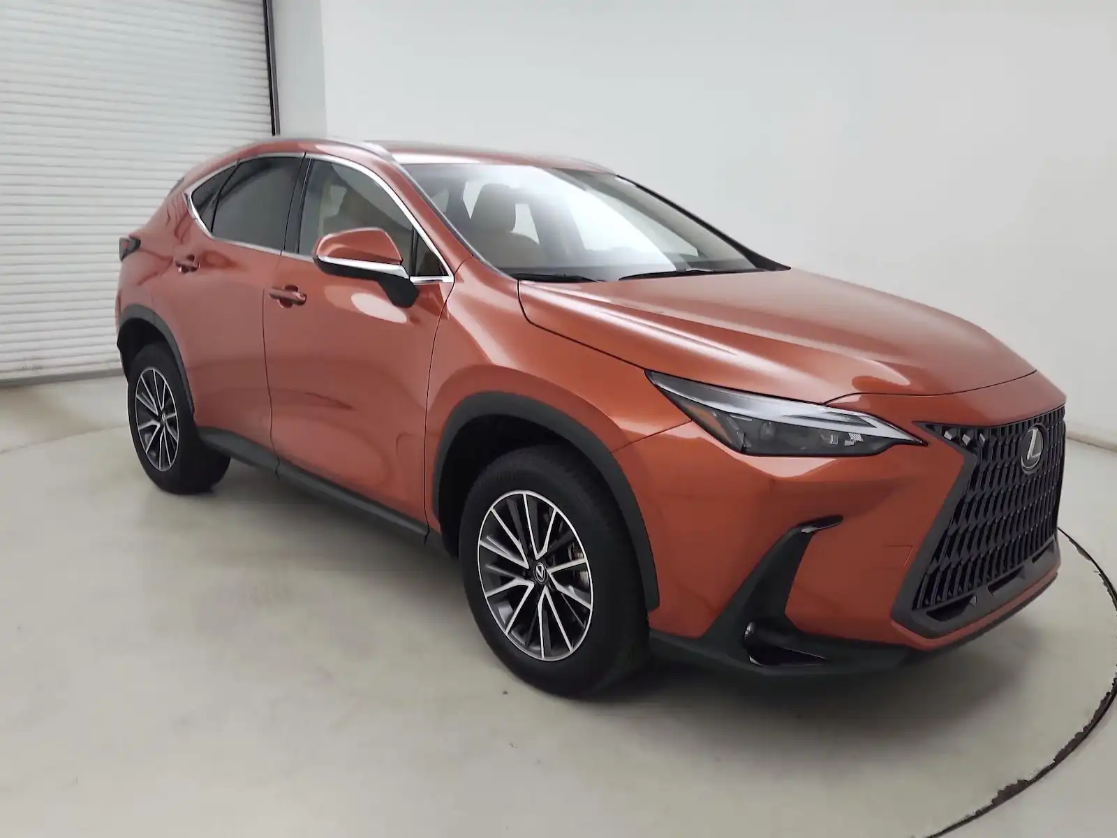 2024 Lexus NX 350h 350h AWD's photo