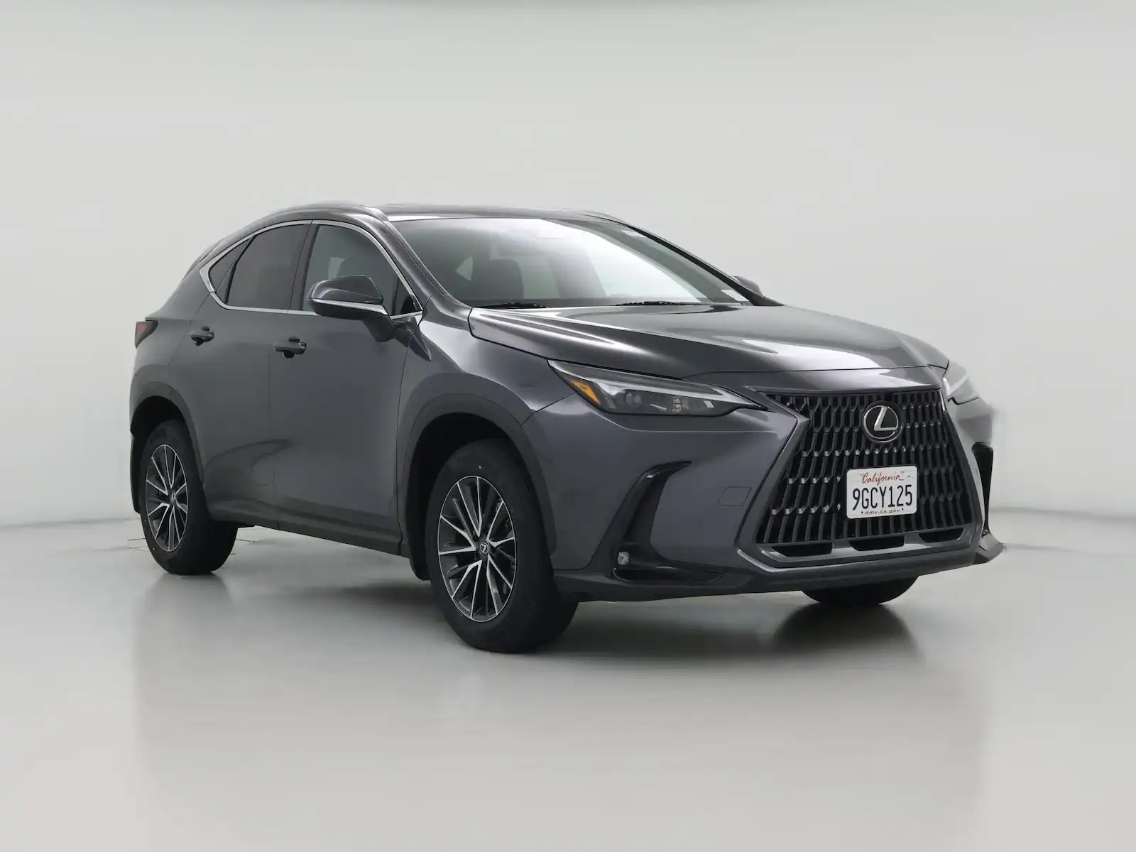 2023 Lexus NX 350 350 AWD's photo