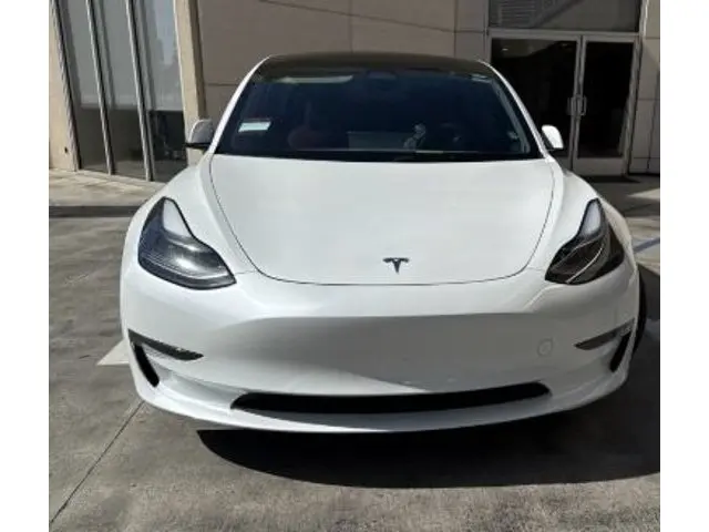 2023 Tesla Model 3 Performance photo 3