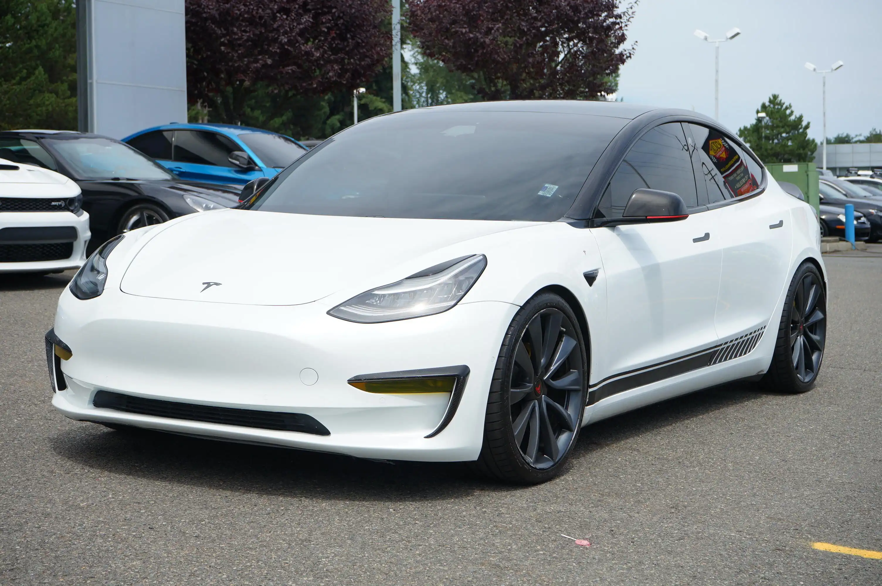 2019 Tesla Model 3 Dual Motor All-Whel Drive Long Range's photo
