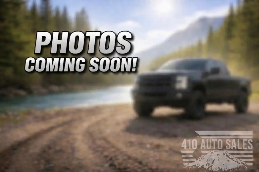 2019 Tesla Model X Long Range's photo