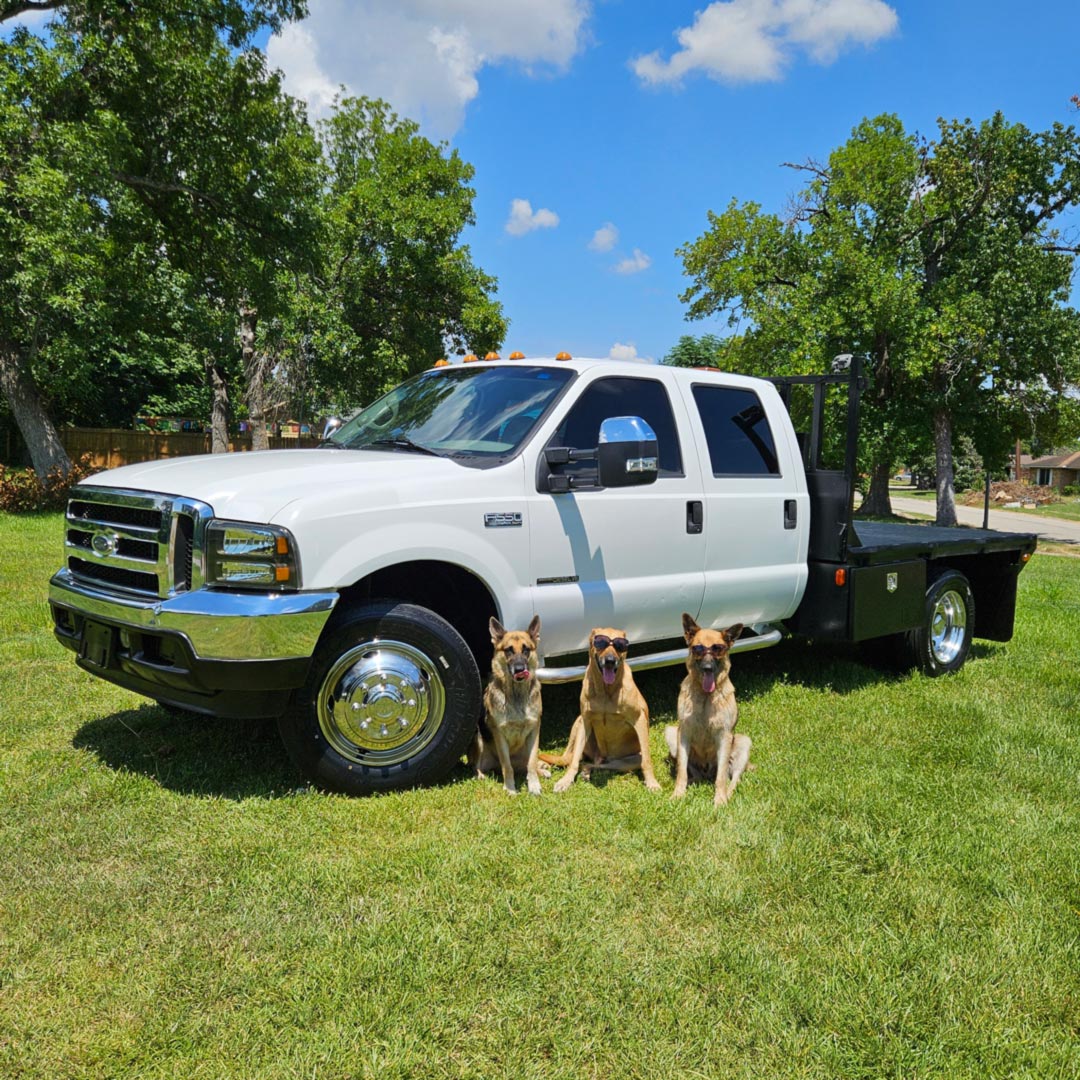 1999 Ford F-550's photo