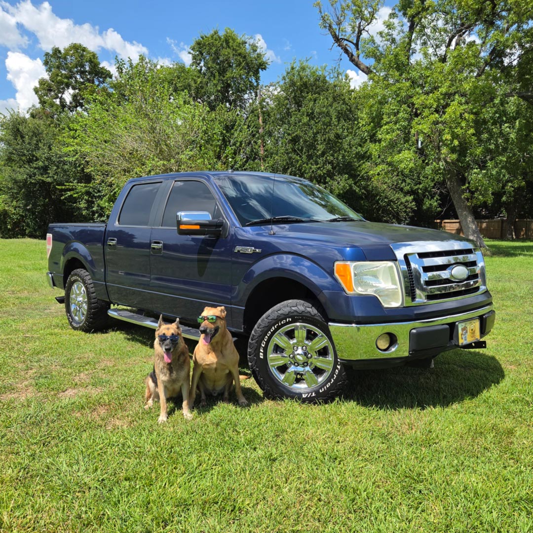 2009 Ford F-150 XLT SuperCrew 145 in's photo