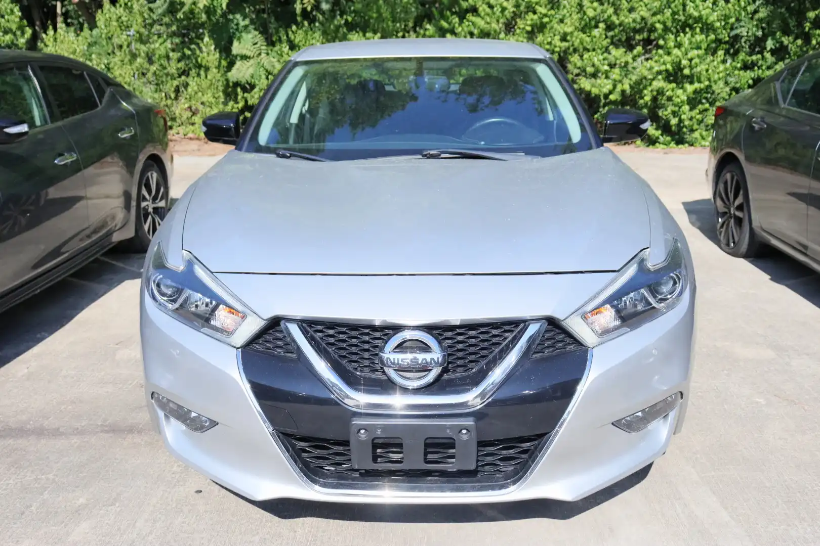 2018 Nissan Maxima SV's photo