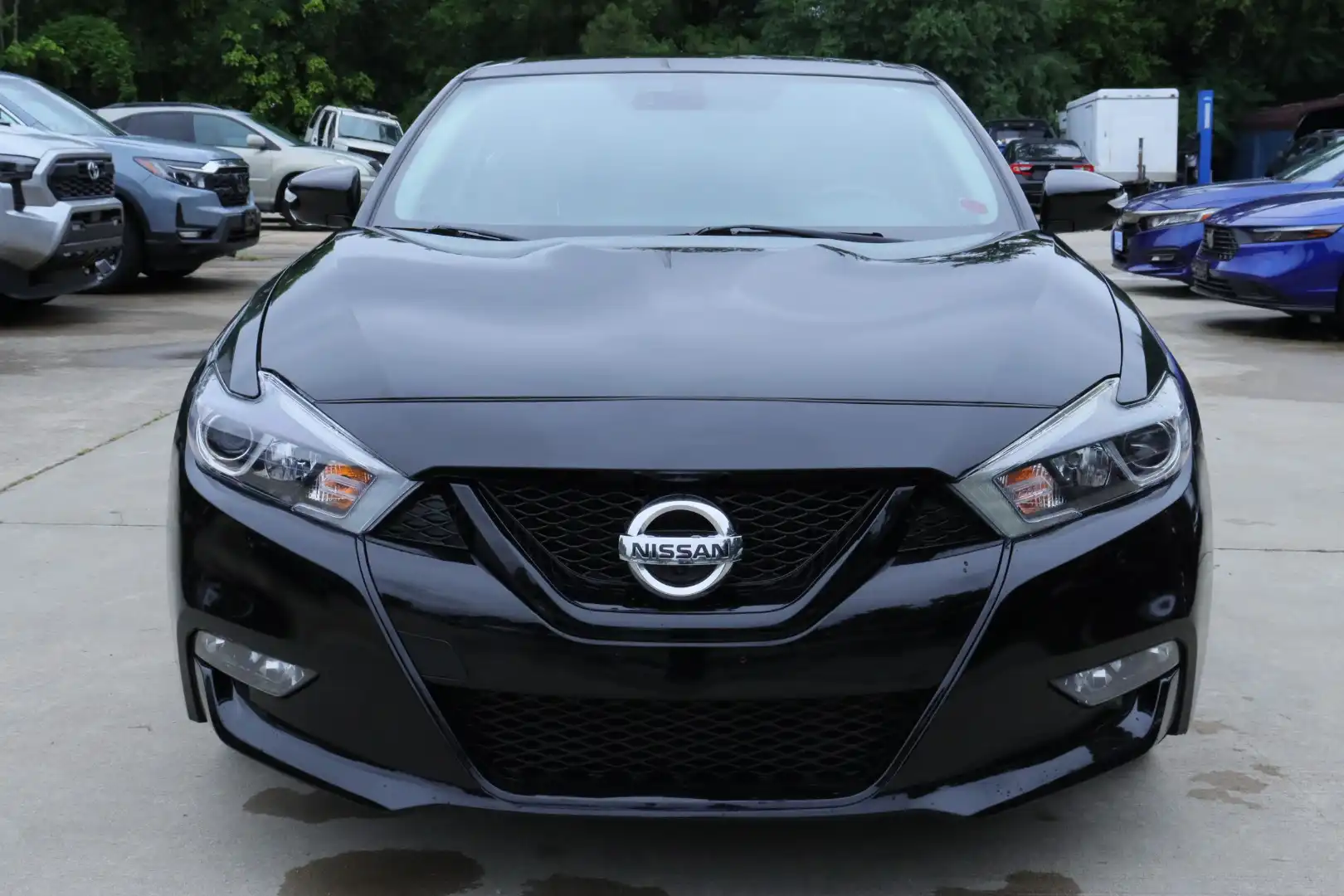 2017 Nissan Maxima Platinum's photo