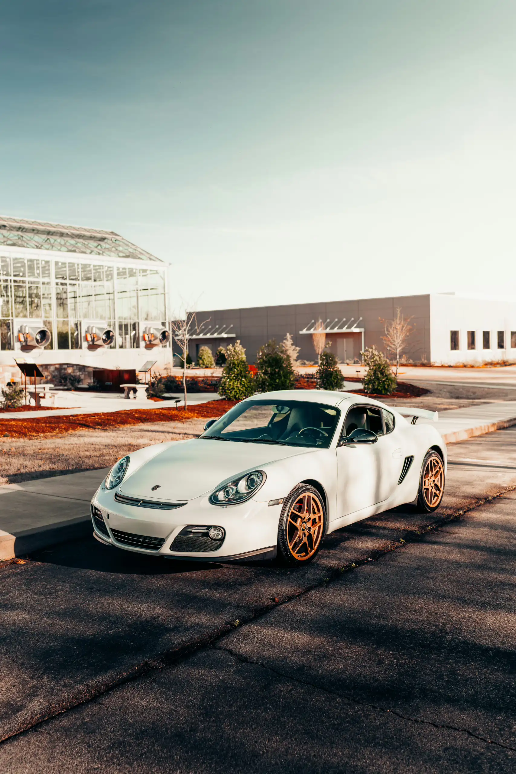 2009 Porsche Cayman S's photo