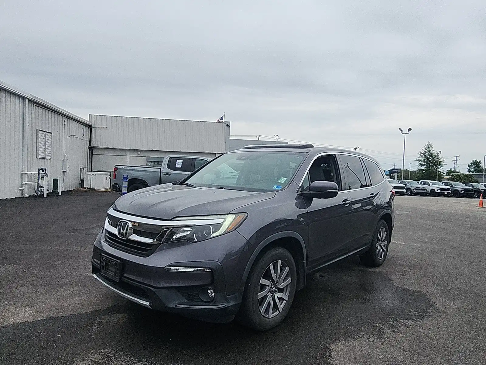 2019 Honda Pilot 2WD EX-L's photo