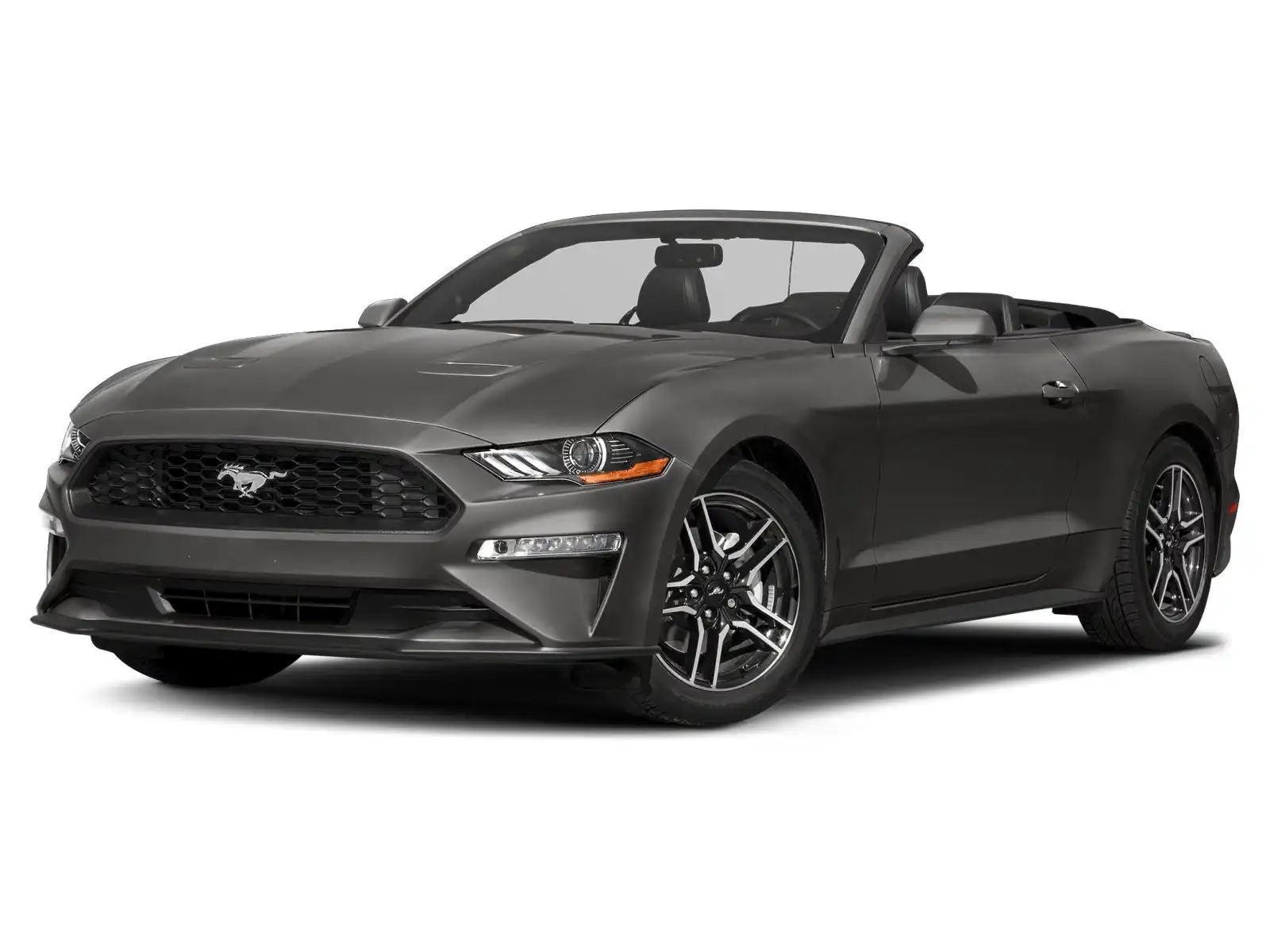 2019 Ford Mustang EcoBoost Convertible Premium's photo