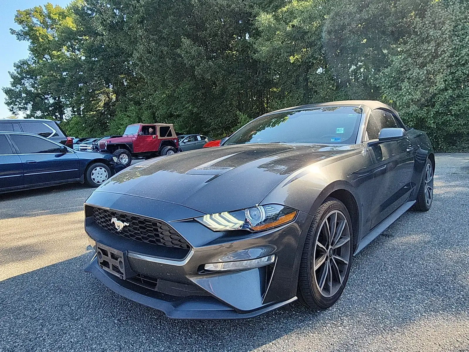 2019 Ford Mustang EcoBoost Convertible Premium's photo