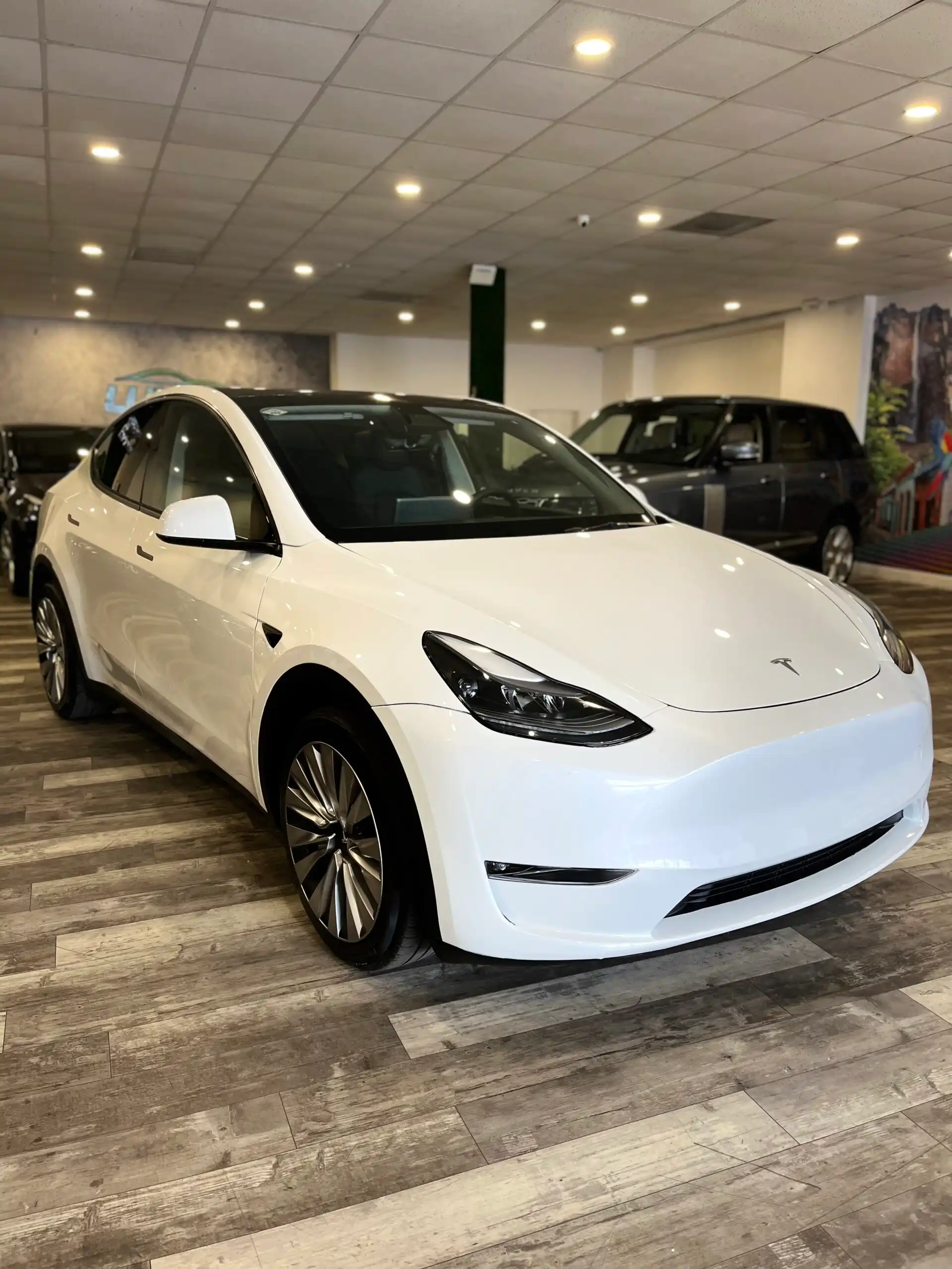 2025 Tesla Model Y Long Range Dual Motor All-Wheel Drive's photo