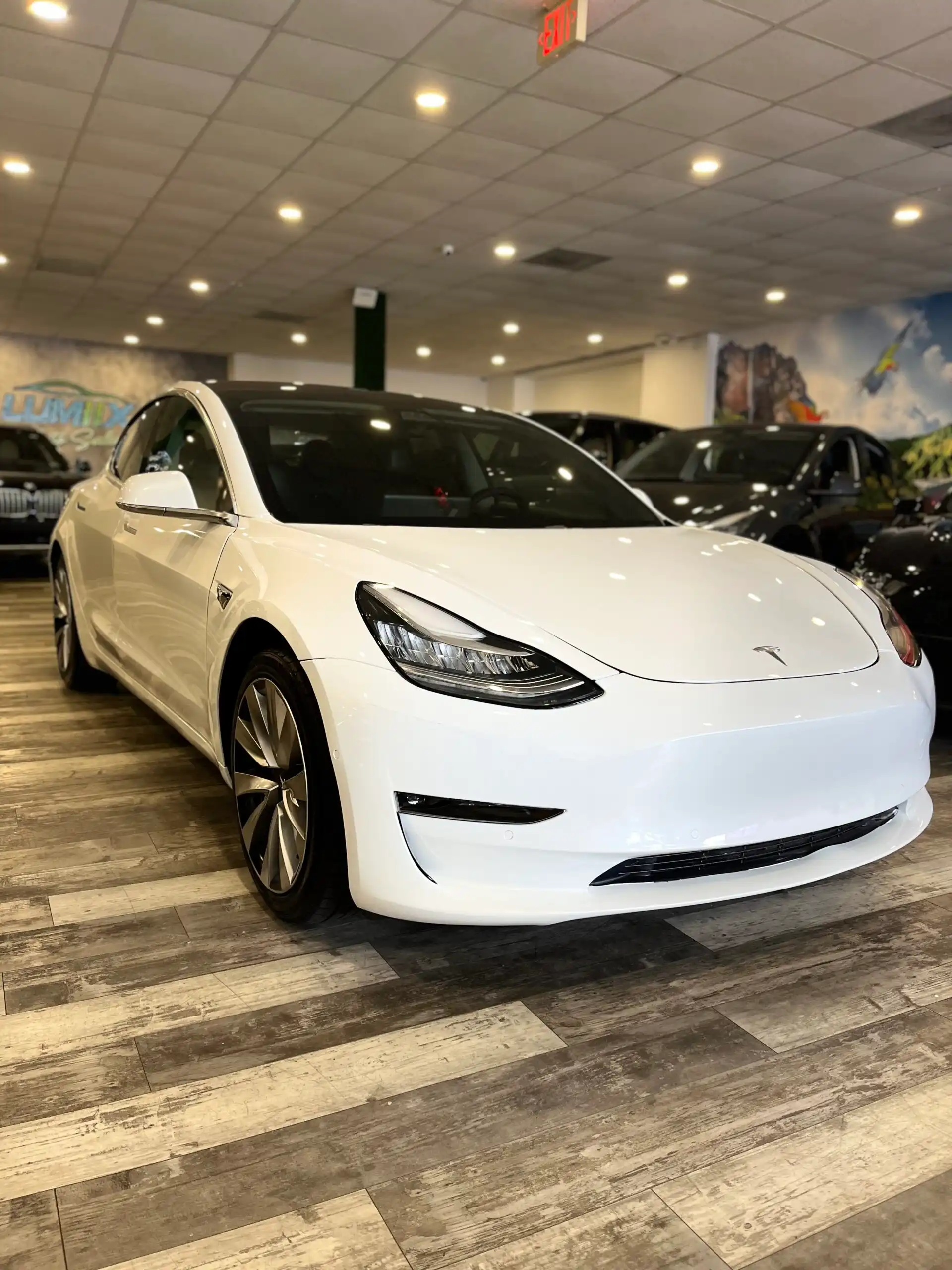 2020 Tesla Model 3 Standard Range Plus's photo