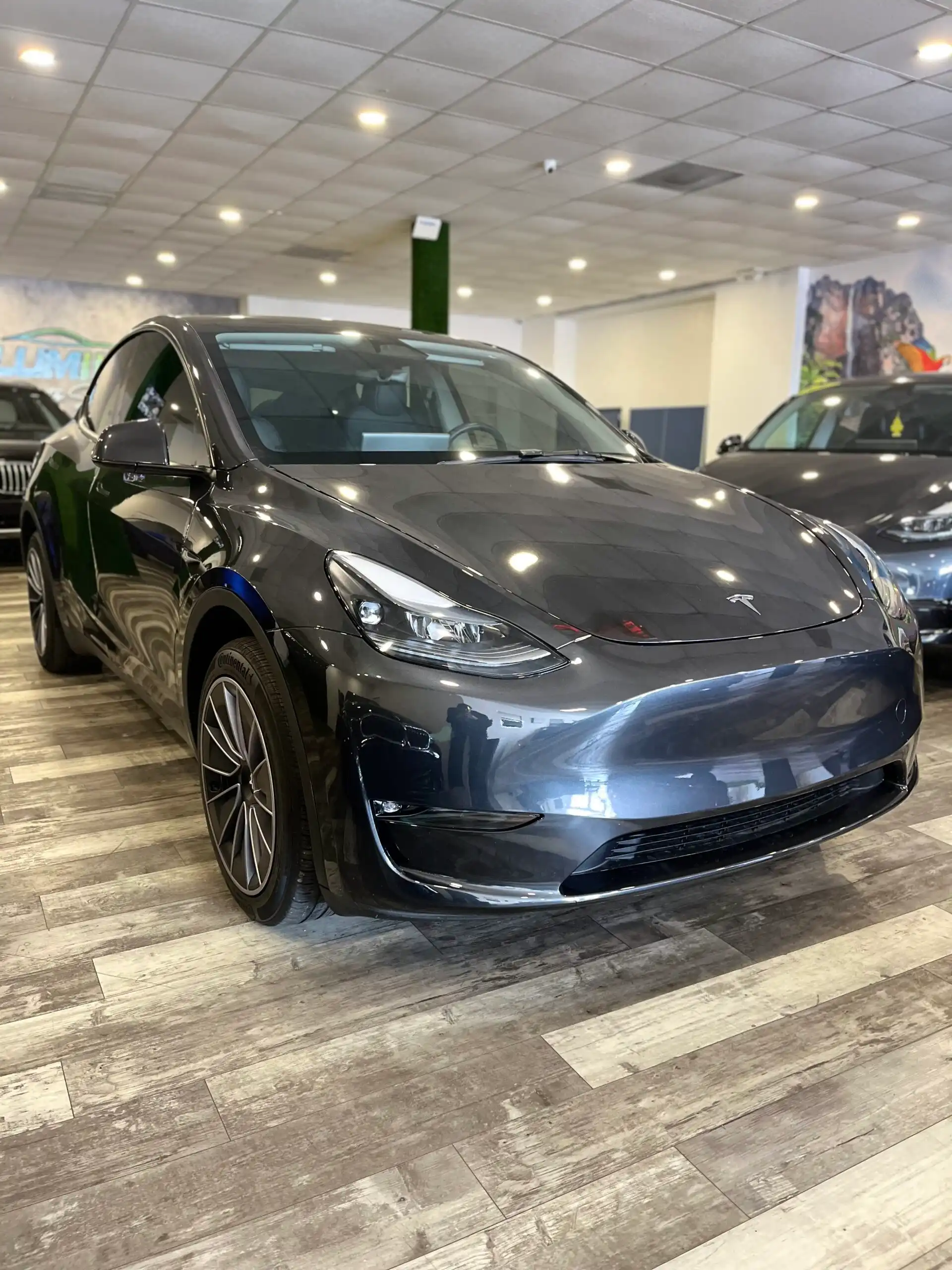 2025 Tesla Model Y Long Range Rear Wheel Drive's photo
