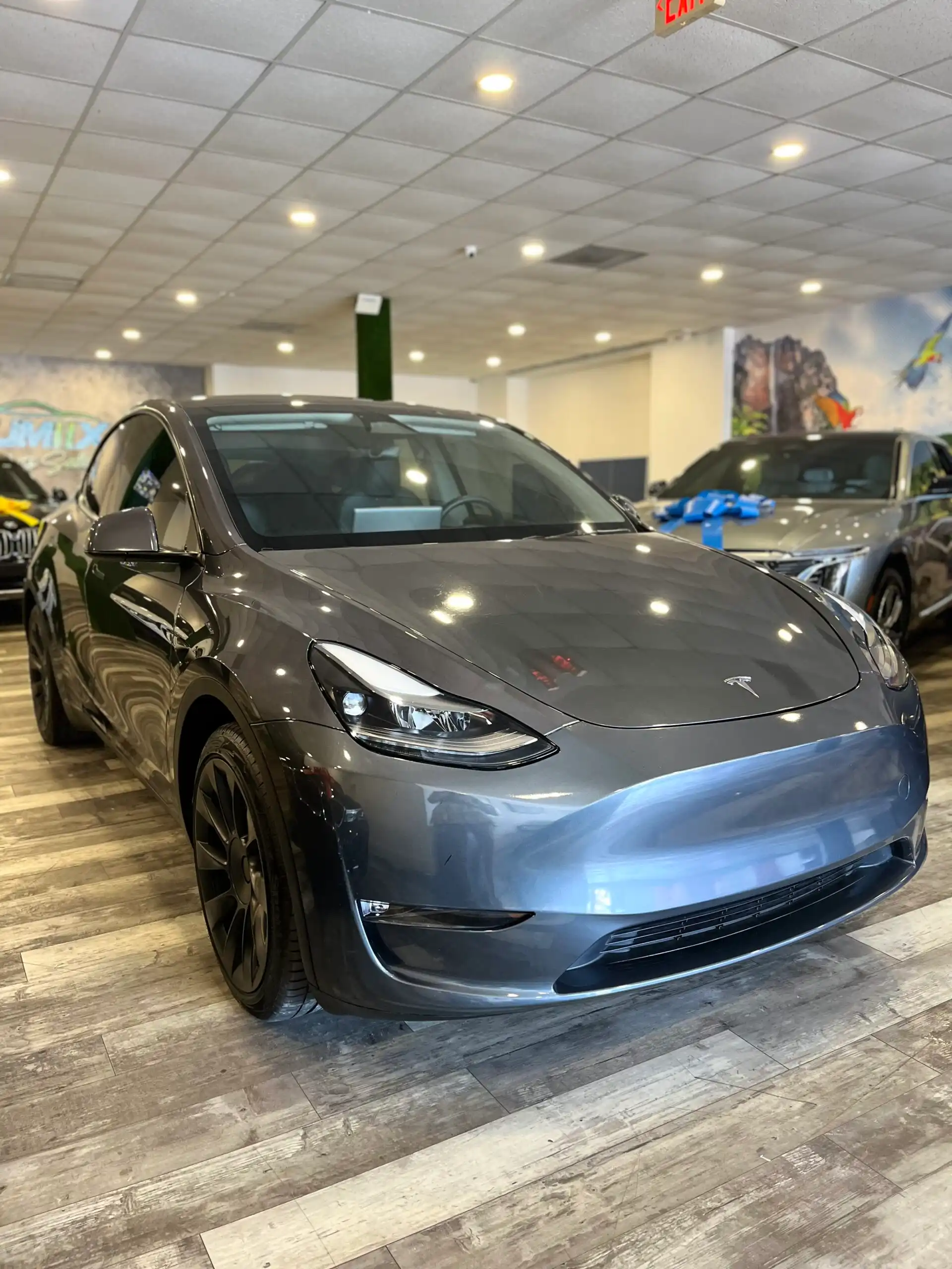 2023 Tesla Model Y Rear Wheel Drive's photo